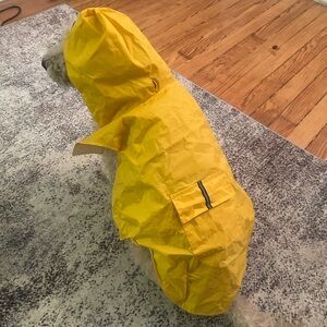 Yellow Dog Raincoat